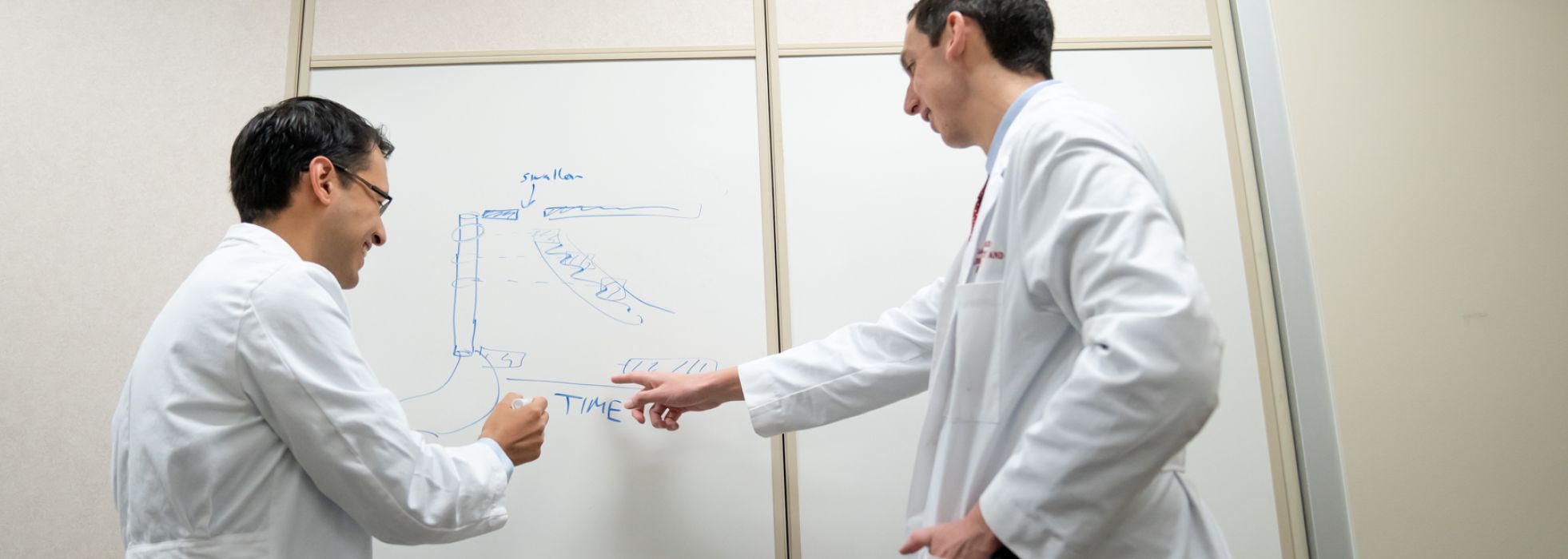 Photo of gastroenterology faculty member and learner working at white board