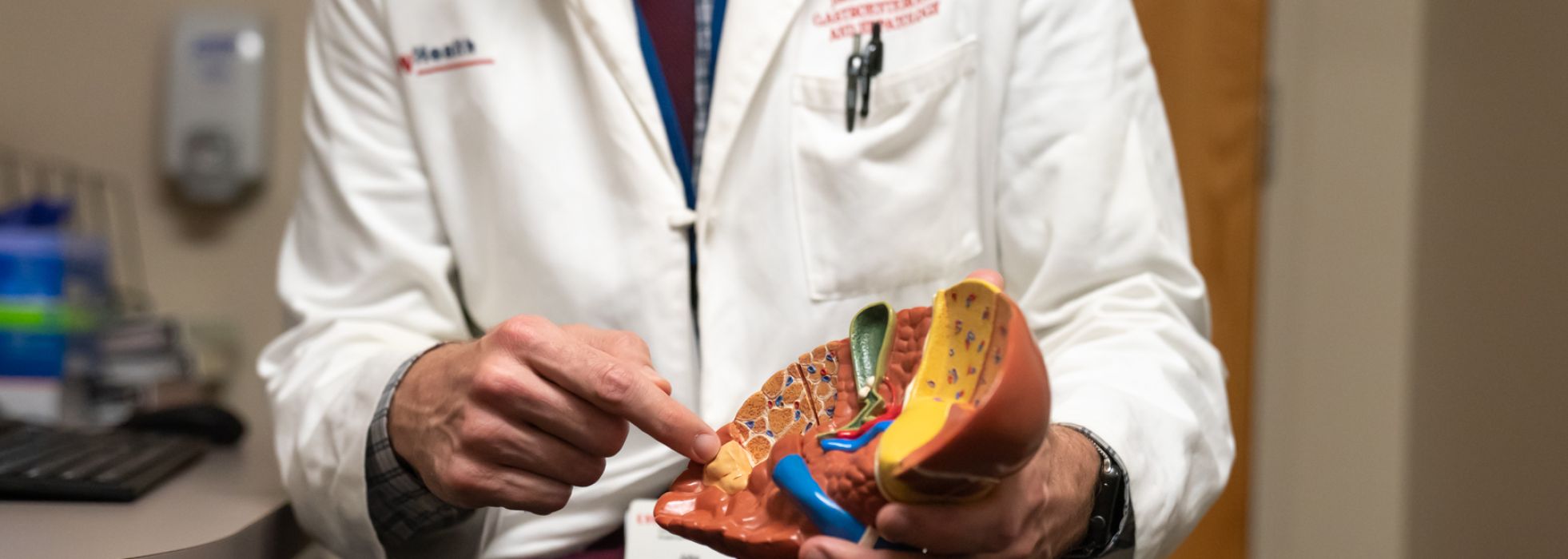 GI physician showing model of liver