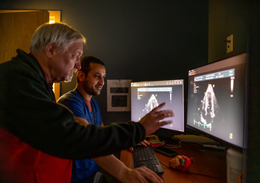 Dr. Peter Rahko and a trainee looking at heart on a computer screen in a darkened room