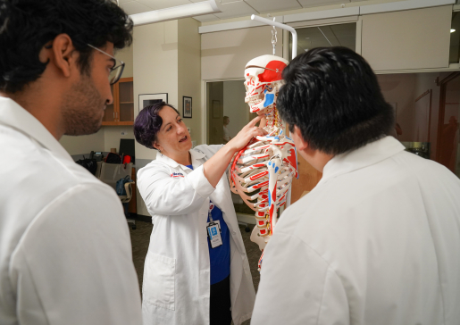 Geriatrics faculty member Dr. Alexis Eastman points out anatomy on a model skeleton to two learners