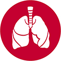Allergy, Pulmonary and Critical Care Medicine