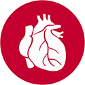 Cardiovascular Medicine