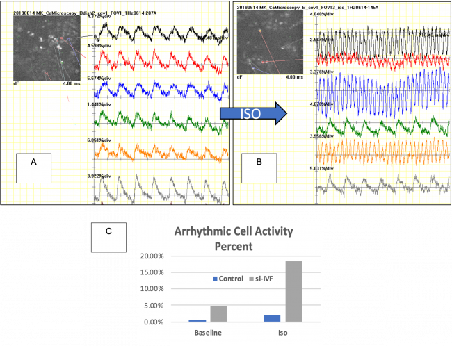 Images of optical mapping to characterize cellular phenotype