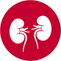 Nephrology
