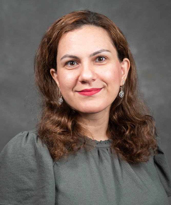Fereshteh Sadat Bashiri