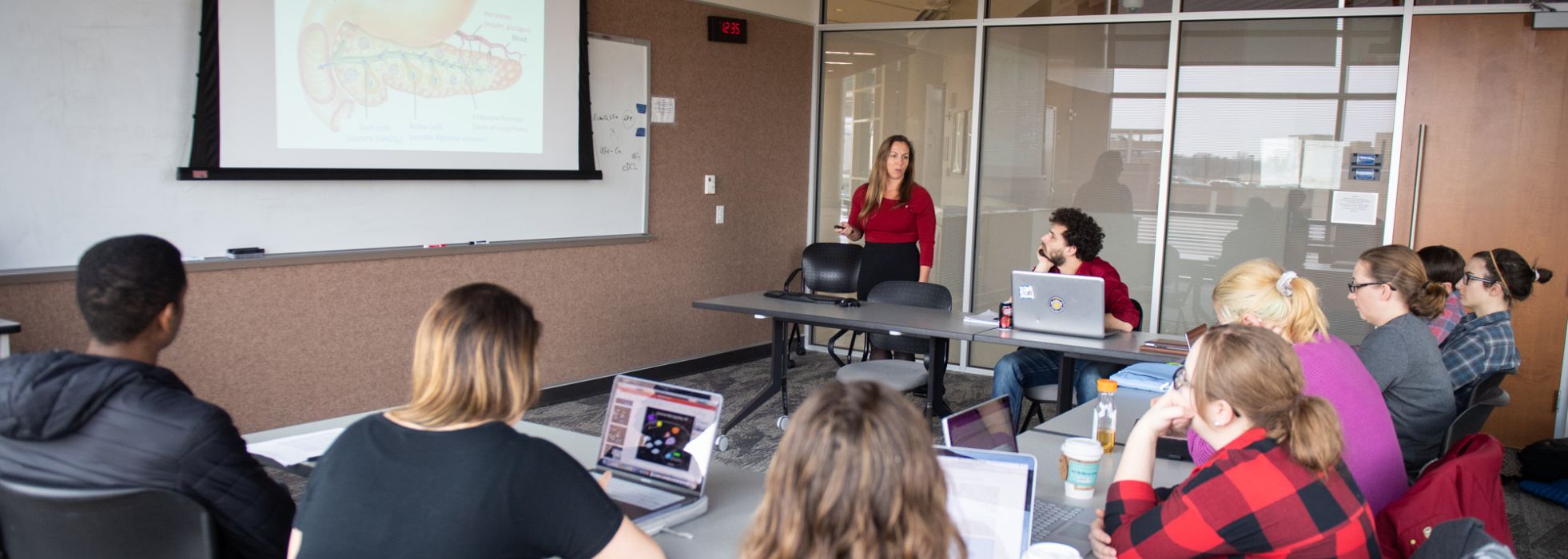 Photo of Dr. Michelle Kimple leading an endocrinology educational session