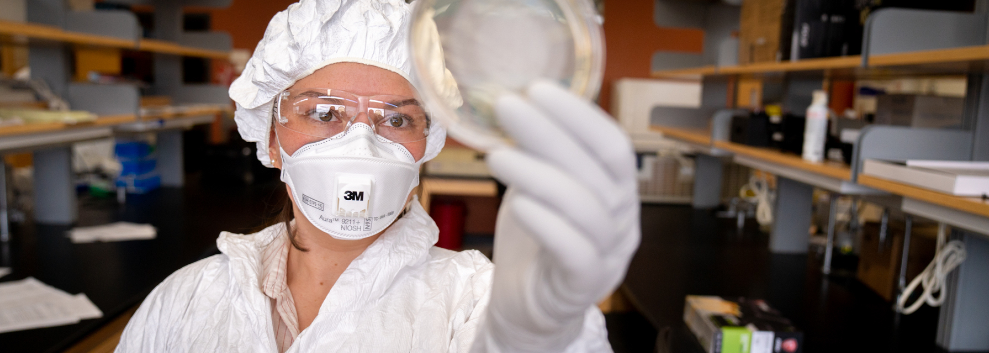 Photo of infectious disease researcher holding up a dish in the lab