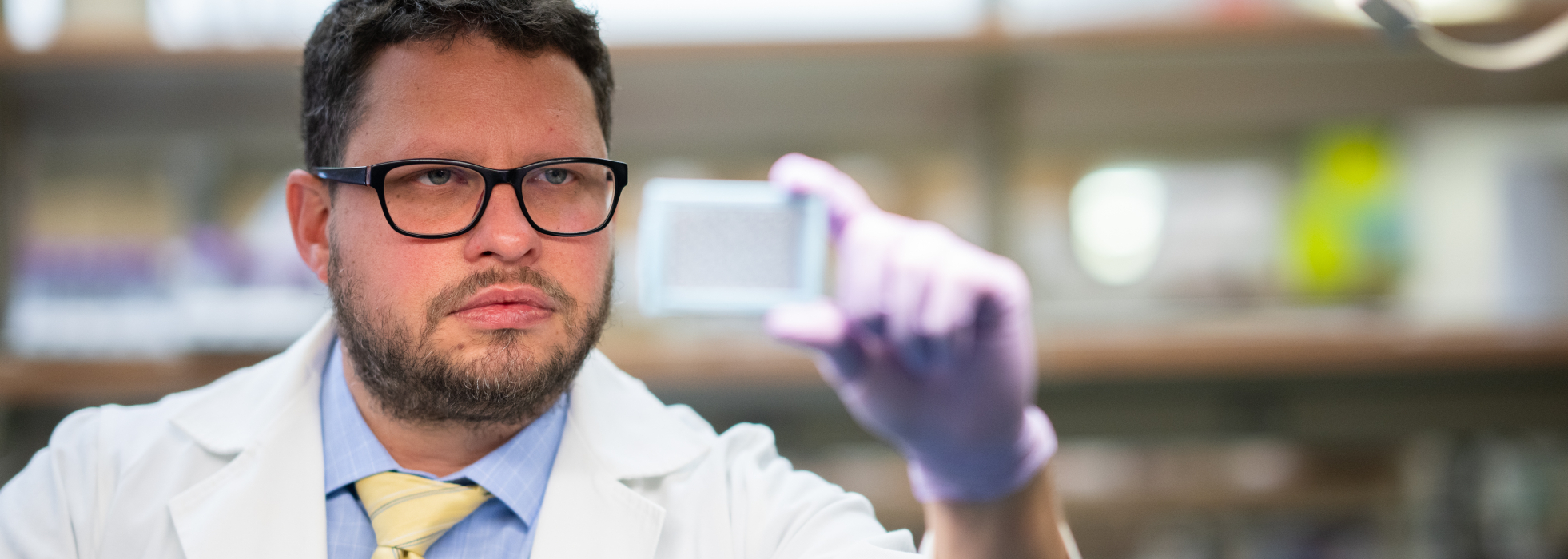 photo of Dr. David Kosoff in the lab