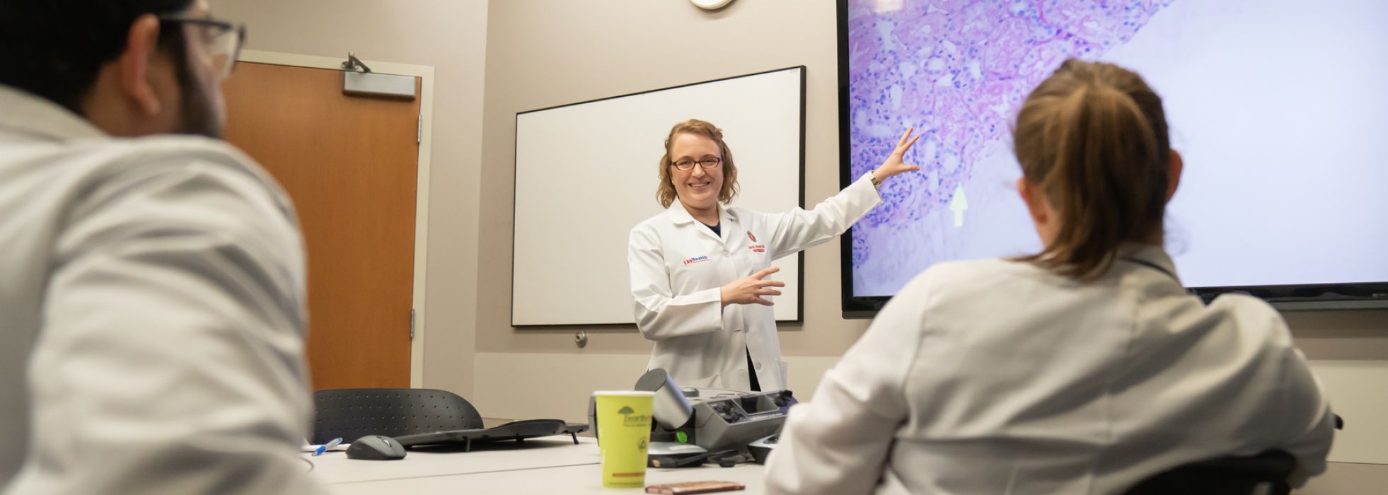 photo of Dr. Sarah Panzer pointing at a conference room screen while teaching learners 