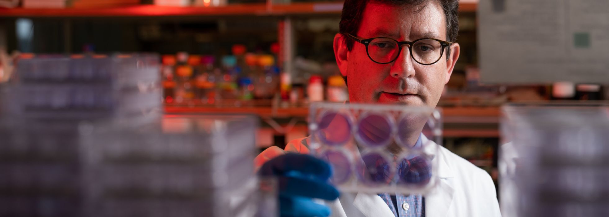 UW Physician-Scientist Training Program co-director Dr. Vincent Cryns in lab