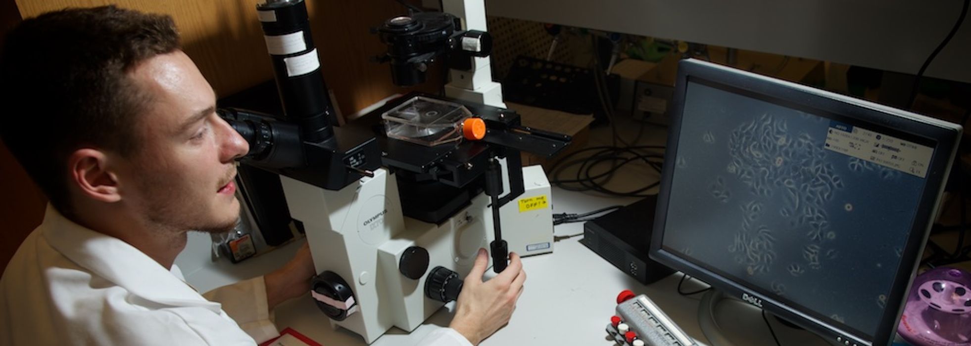 Fellow in a white lab coat in a research lab looking at a digital microscope display
