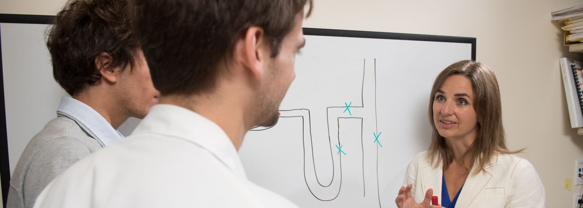 Photo of Dr. Laura Maursetter teaching learners in front of a white board