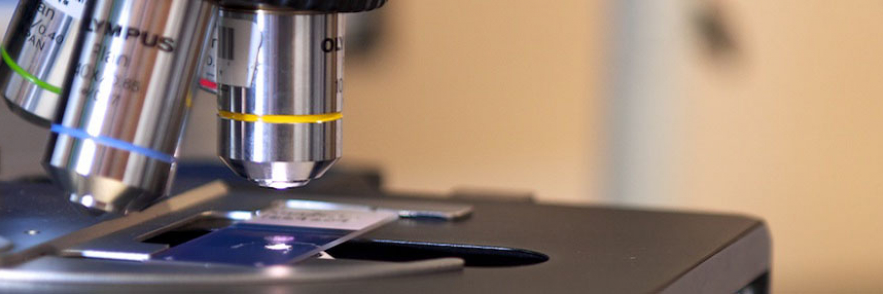 University of Wisconsin Division of Endocrinology, Diabetes and