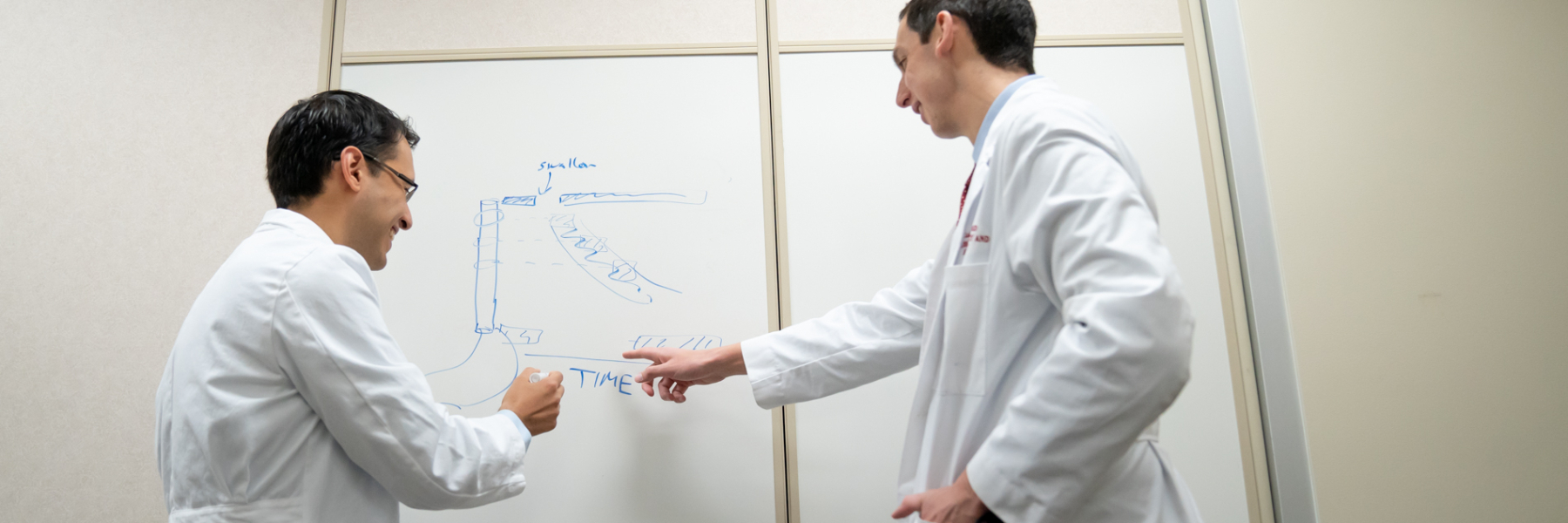 Teaching in the Gastroenterology and Hepatology Fellowship | Department ...