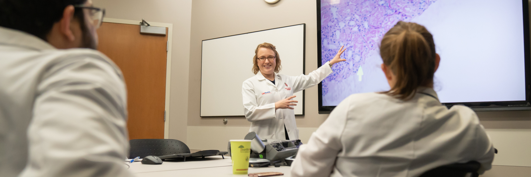 photo of Dr. Sarah Panzer pointing at a conference room screen while teaching learners 