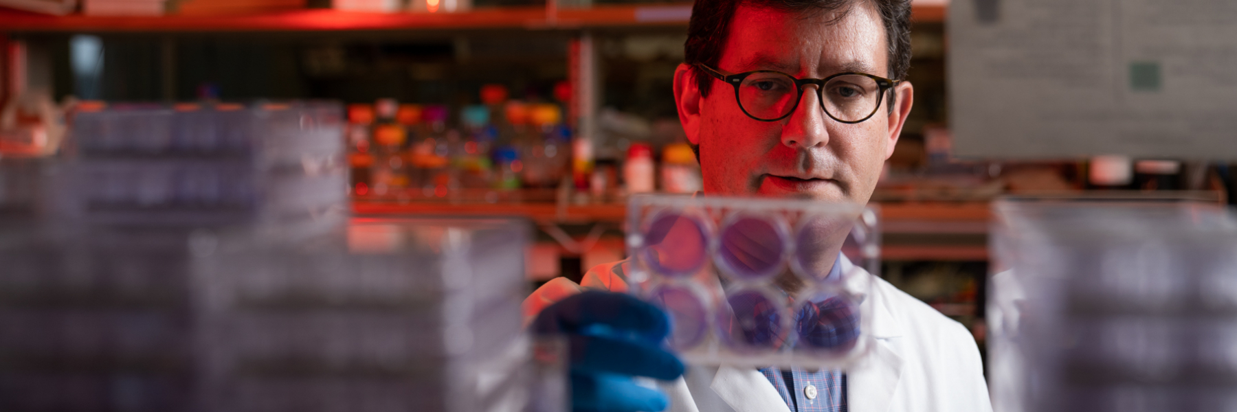 Dr. Vincent Cryns in lab