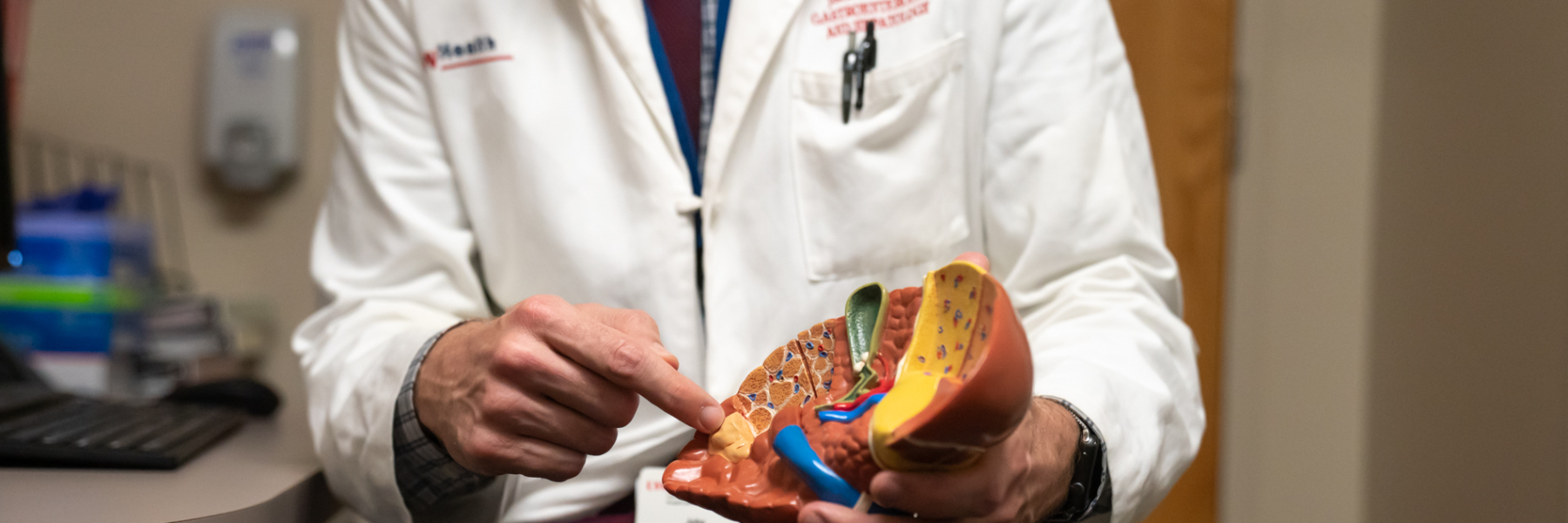 GI physician showing model of liver