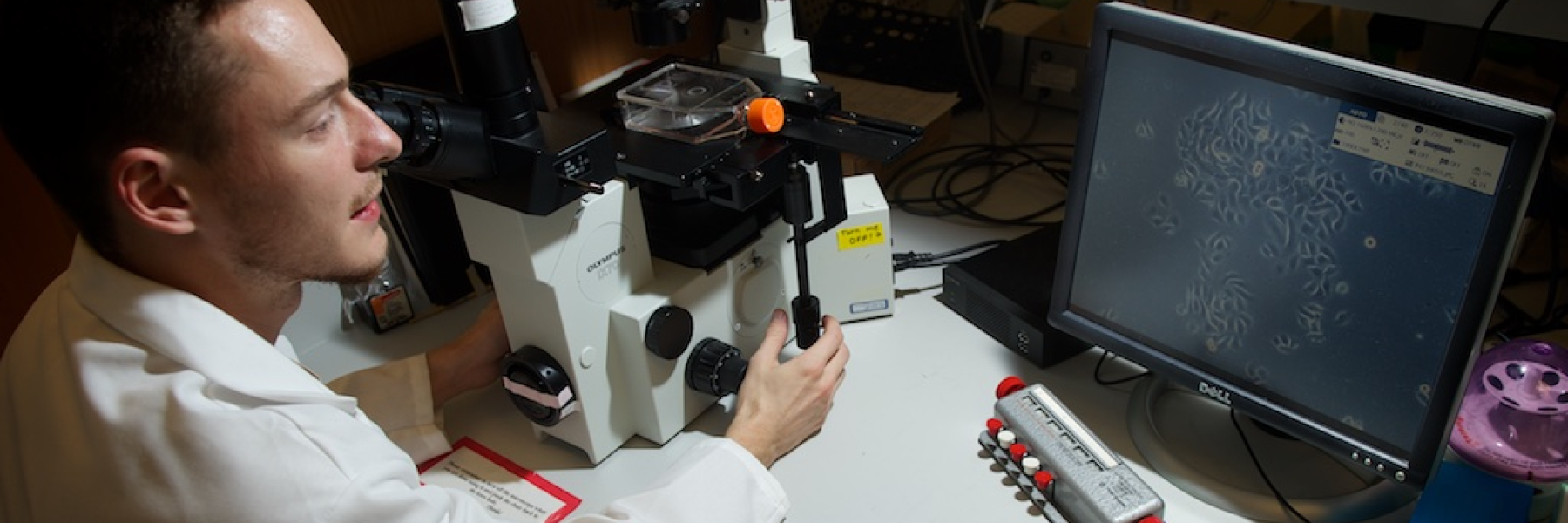 Lab technique