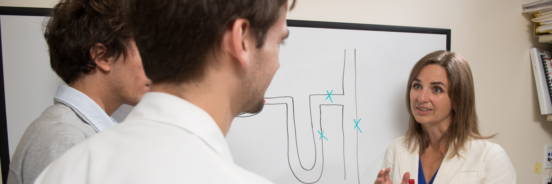 Photo of Dr. Laura Maursetter teaching learners in front of a white board