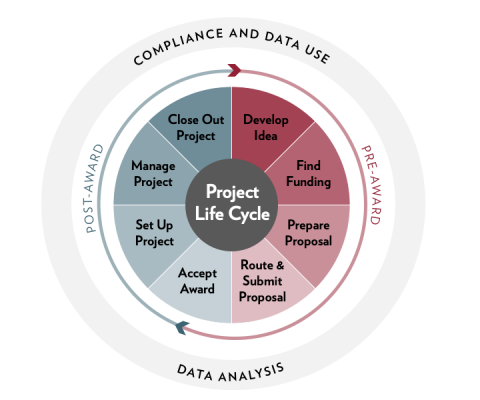Project Life Cycle
