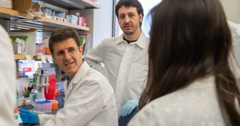 Dr Puglielli