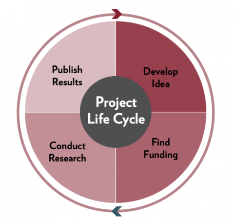 research cycle