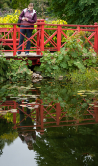 A Department of Medicine learner at a wellness retreat hosted by the department. She looks down from a red bridge into a stream.