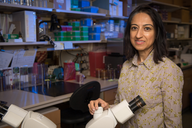 Dr. Nasia Safdar in her lab