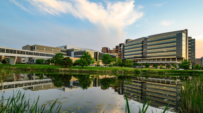 The Health Sciences Learning Center and the Wisconsin Institutes for Medical Research