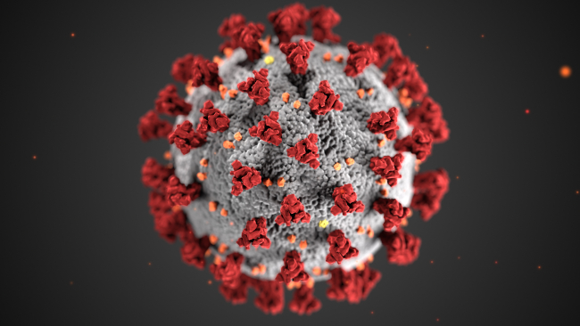 Coronavirus image