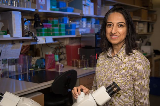 Nasia Safdar, MD, PhD, in her lab