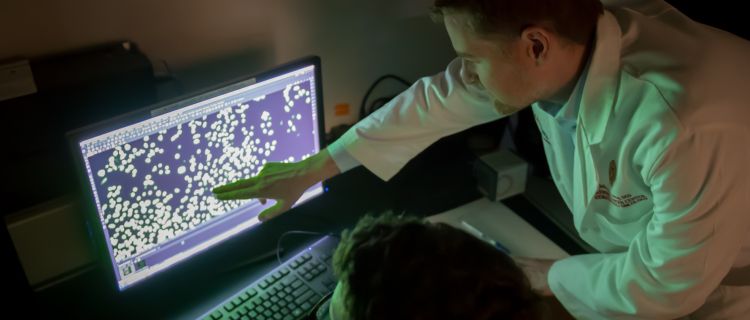 IMPACT program researchers