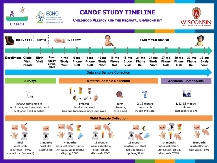 UW CANOE study timeline graphic