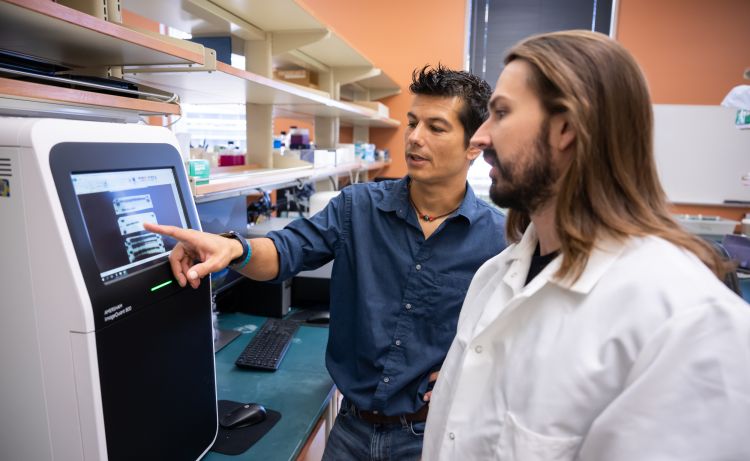 photo of Dr. Galmozzi and lab staff member looking at gel on a screen together