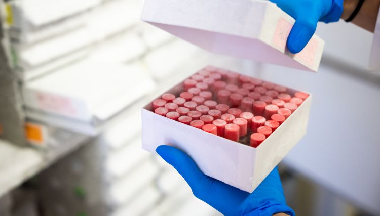 photo of Dr. Hilary Faust holding a box of vials