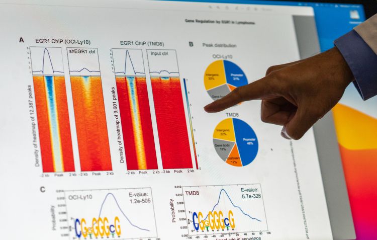 photo of Dr. Lixin Rui's hand pointing at heatmap charts on a computer screen