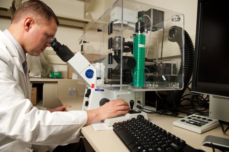 photo of Dr. Nathan Sandbo looking in microscope in lab