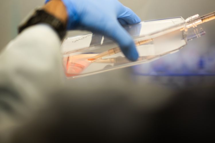 Hematti lab image