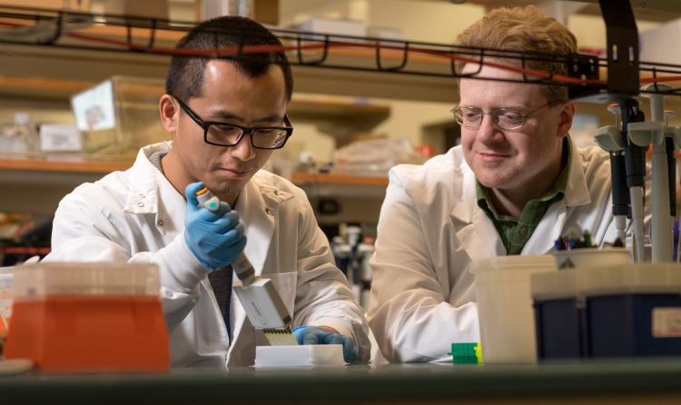 Dudley Lamming, PhD, in his lab with former graduate student Deyang Yu