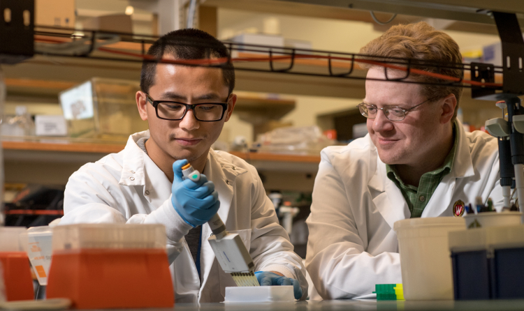 Dudley Lamming, PhD, works with a colleague in his lab