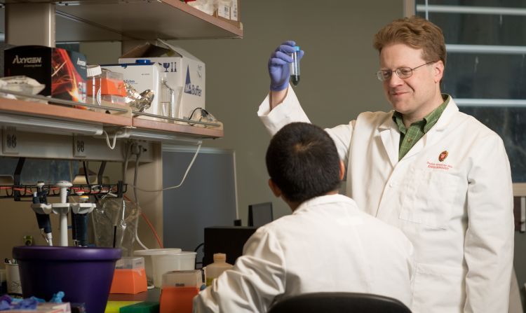 Dudley Lamming, PhD, associate professor, Endocrinology, Diabetes and Metabolism, works in his lab