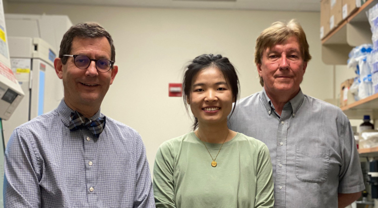 Photo of Vincent Cryns, Mo Chen and Richard A. Anderson