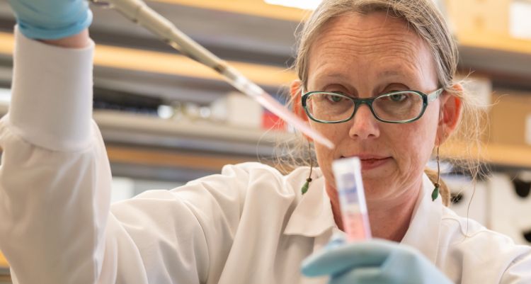 Dr. Rozalyn Anderson in the lab