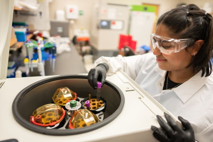 Cecilia Cardenas using equipment in Dr. Cindy Carlsson's lab