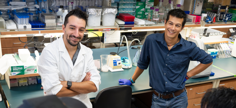 Left to right: Matias Fabregat, PhD, MSc, in the lab with his mentor, Andrea Galmozzi, PhD. Credit: Clint Thayer/Department of Medicine.