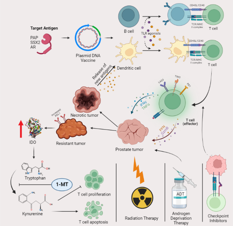 McNeel lab summary illustration