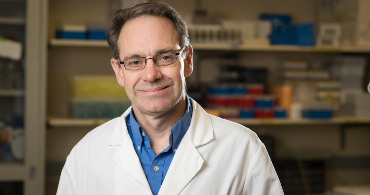 Craig Atwood, PhD, professor, Geriatrics and Gerontology, in his lab.