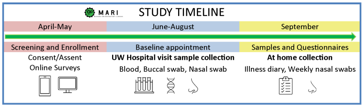 MARI study timeline