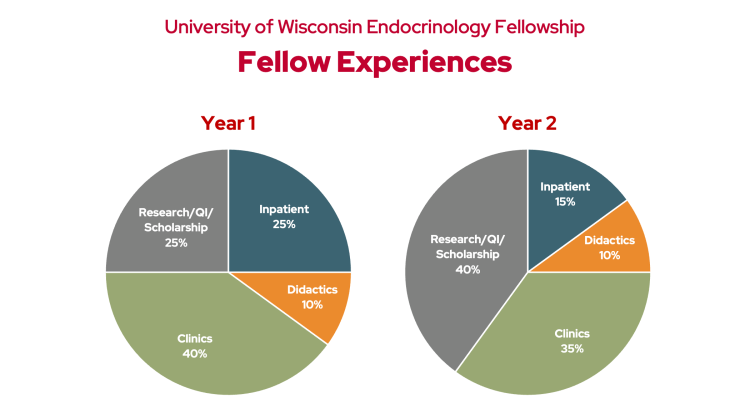 Pie charts of Endocrinology Fellowship experiences