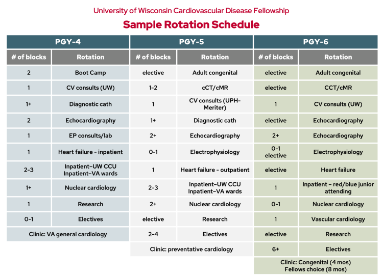 CVD fellowship sample rotations